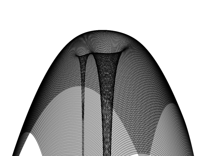 Il grafico della funzione in wireframe.