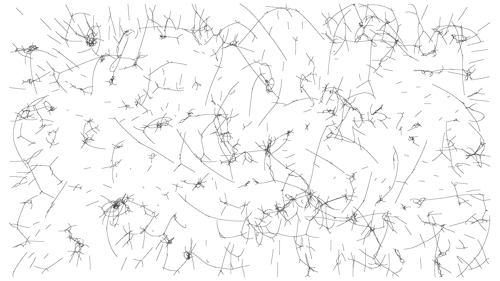 F = m v = 1 / d; All (1000)