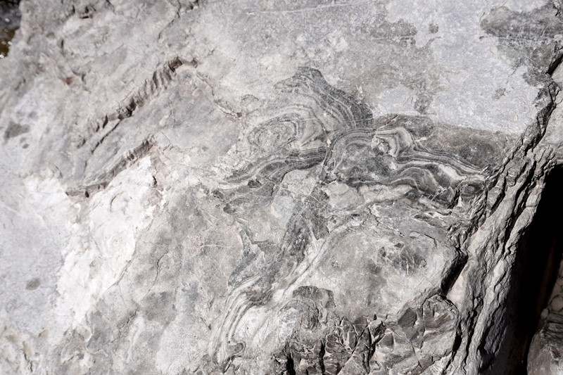 Laminazioni attribuibili a stromatoliti fossili in val Montanaia, Dolomiti Friulane.